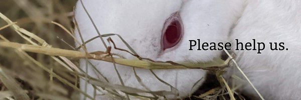 StopRabbitFarms Profile Banner