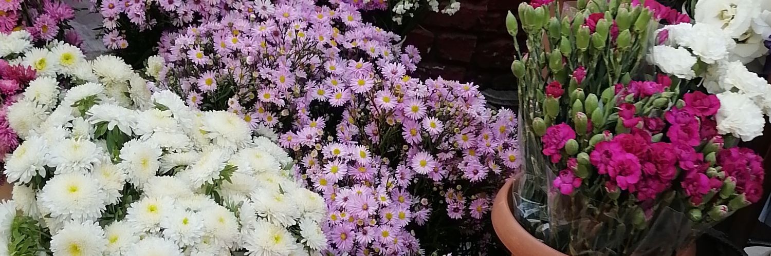 Nesibee banner
