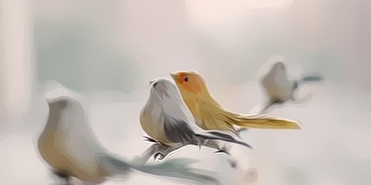 besh667's profile banner image