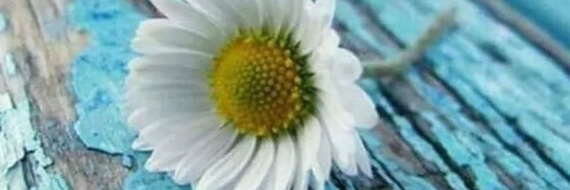 serender79's profile banner image