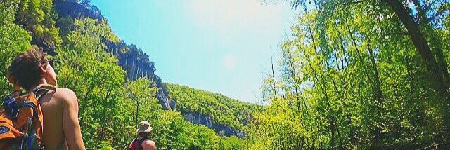 carterbcain's profile banner image