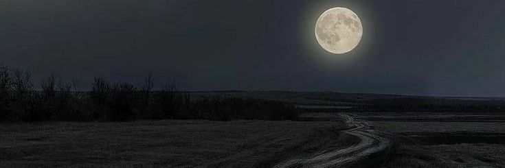 anngodunn's profile banner image