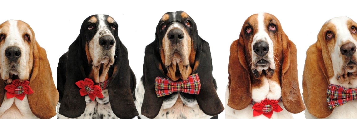 Mockler Bassets Profile Banner