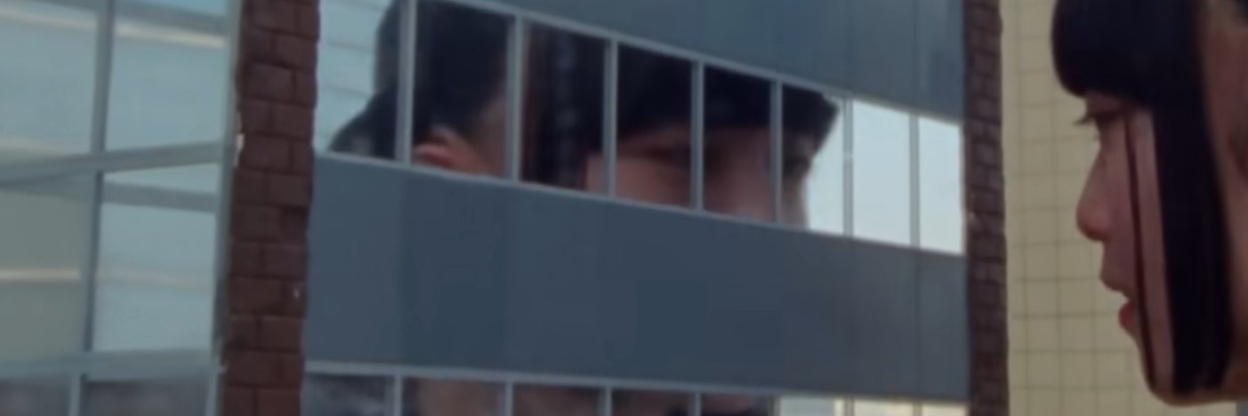 PromisedTrash🗑️ banner