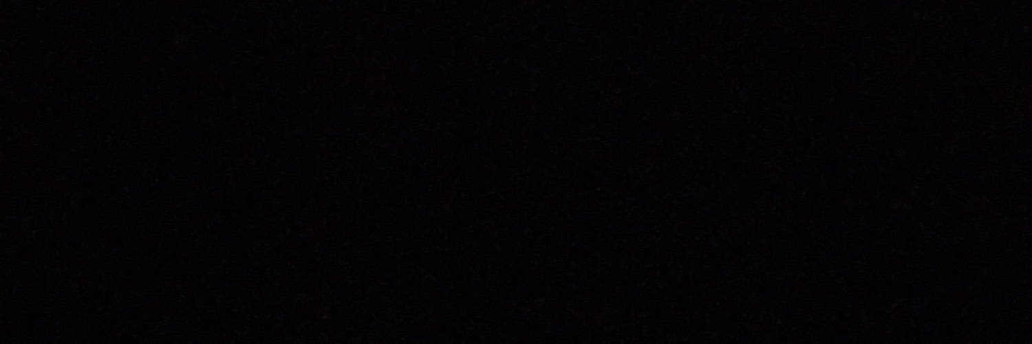 disneysidez's profile banner image