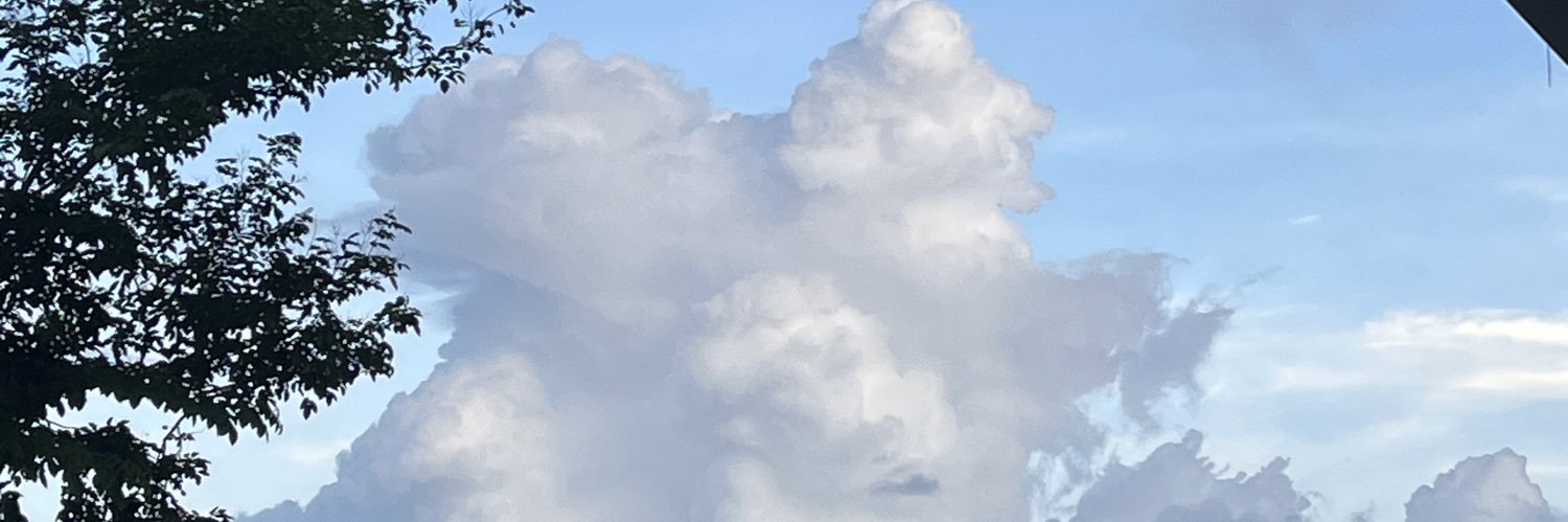goodnnbb's profile banner image