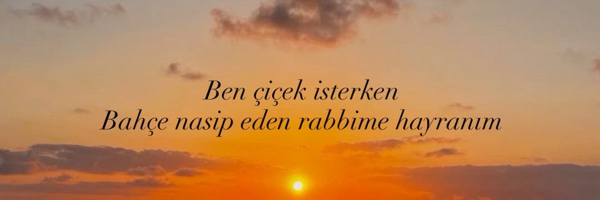 birsusasmaz's profile banner image