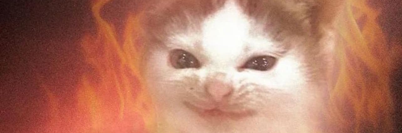 katenicooole's profile banner image