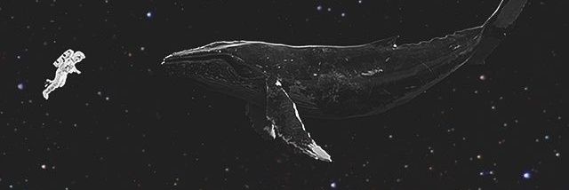 o sincero banner