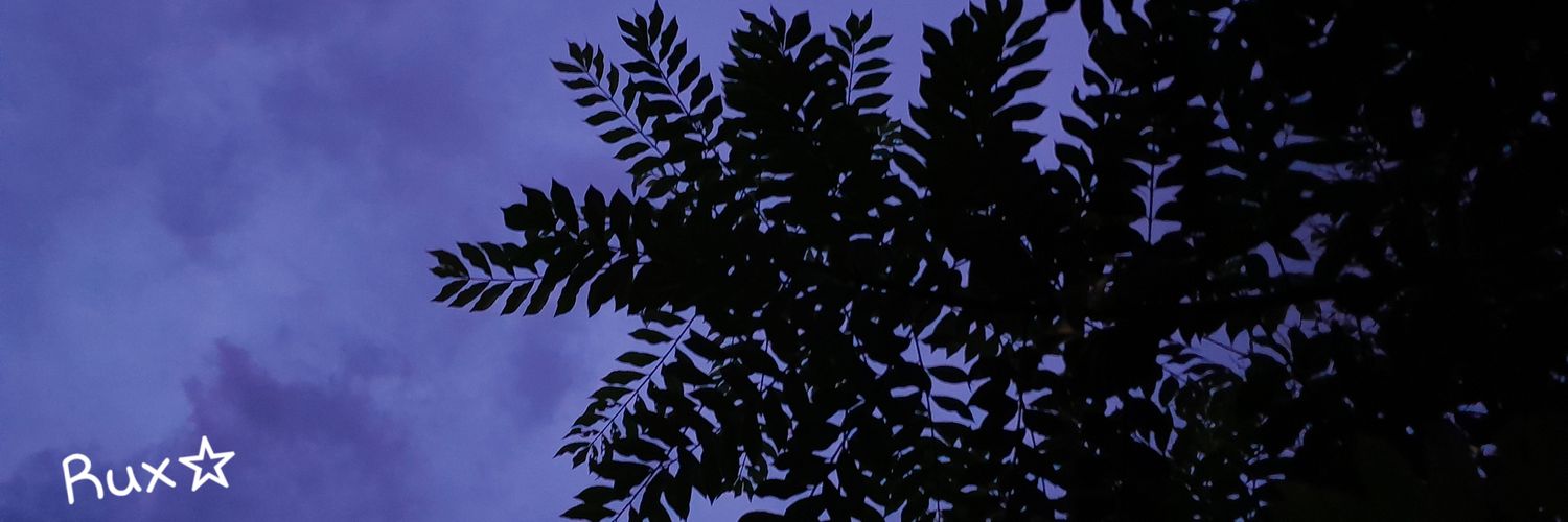 RUX_SKW's profile banner image