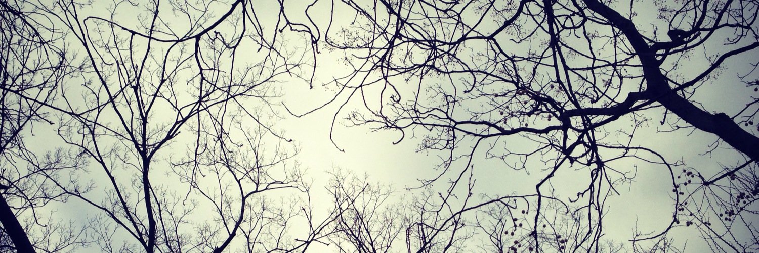 f_sippo's profile banner image