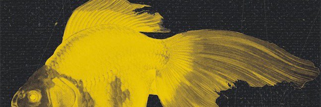 Claudia Casper banner