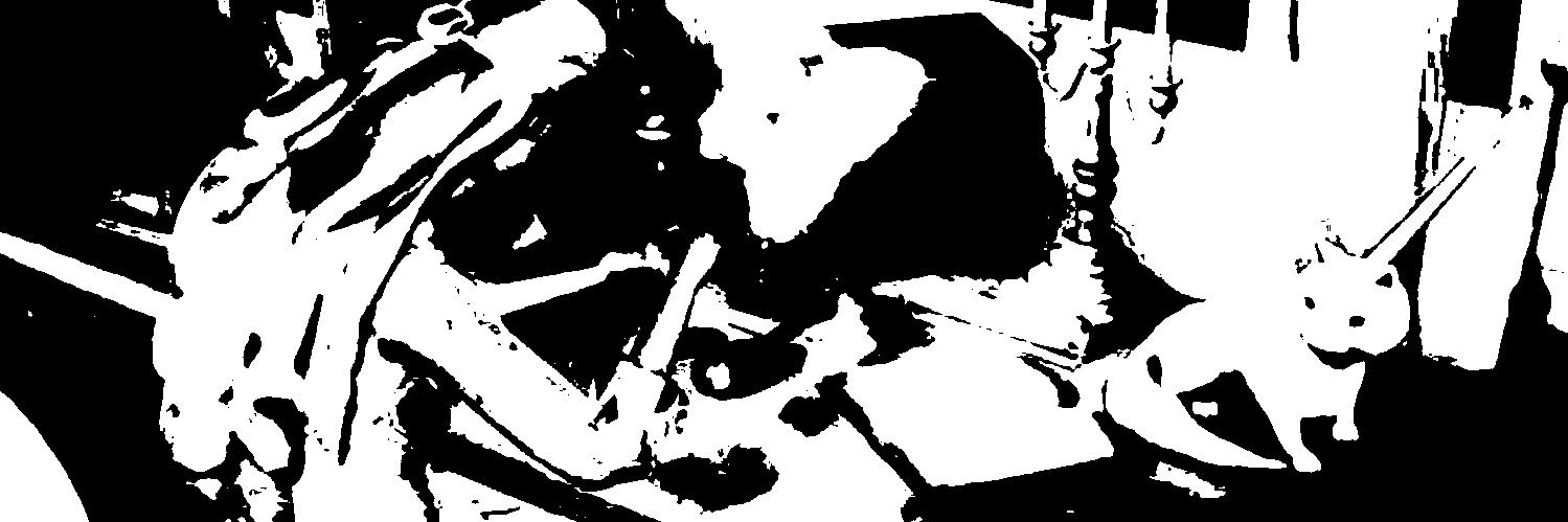 B̸ banner