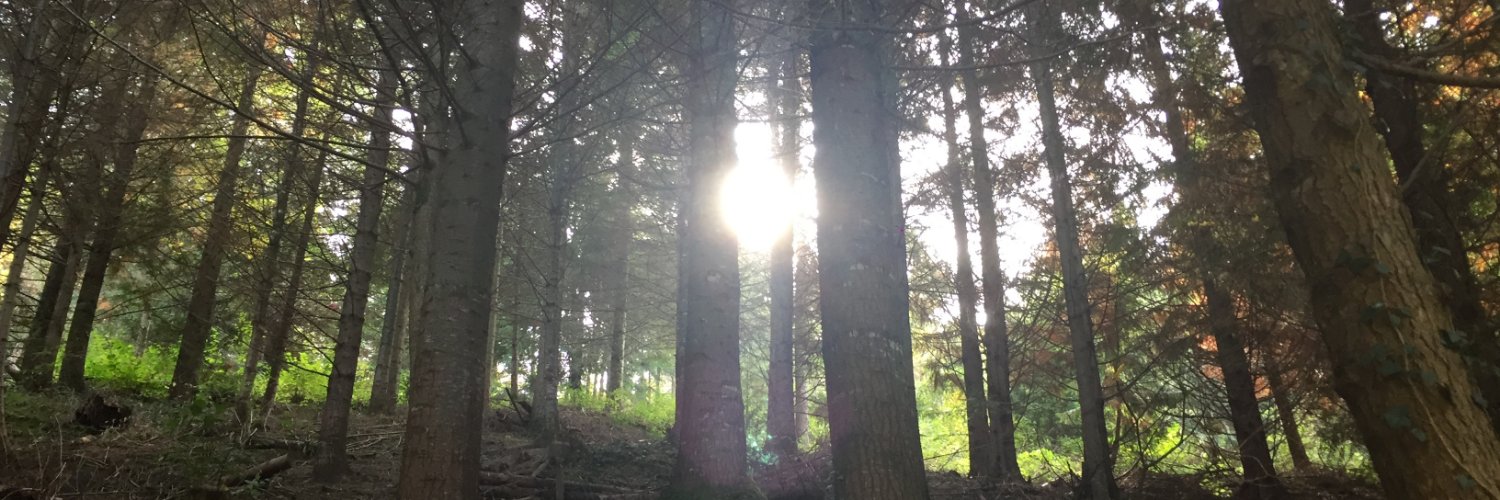SozziWilliam's profile banner image