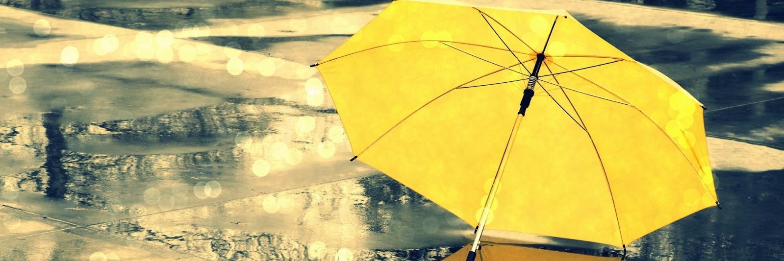 LucianoECabrera's profile banner image