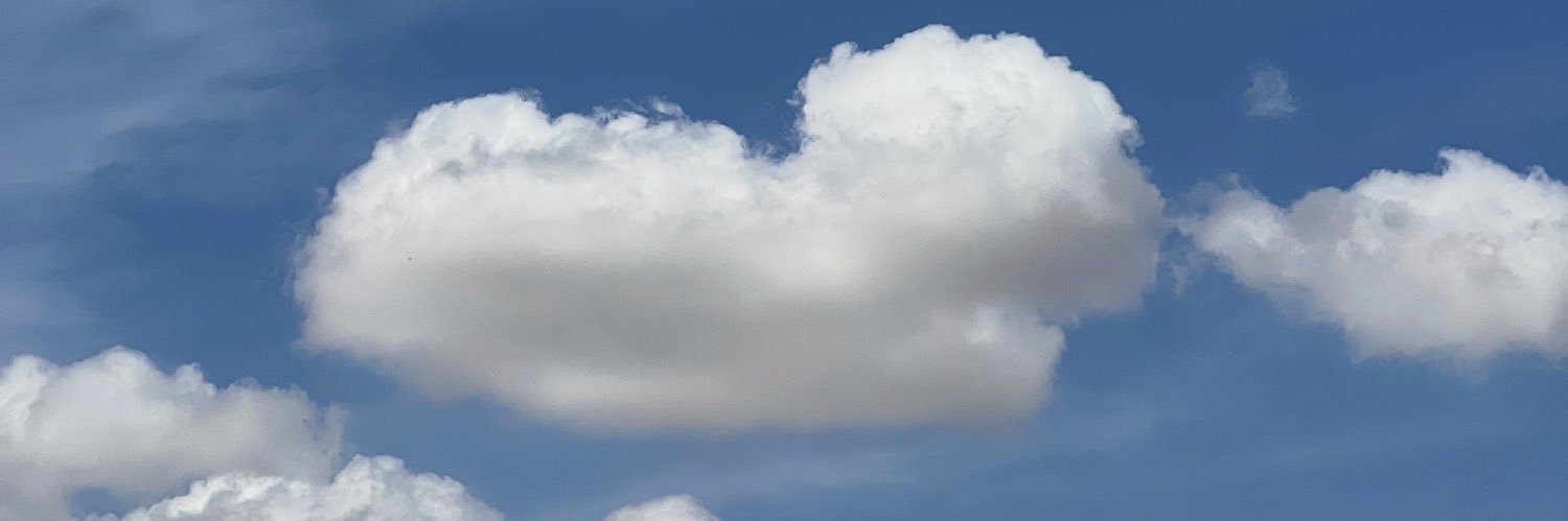 گلِ سفید🤍 banner