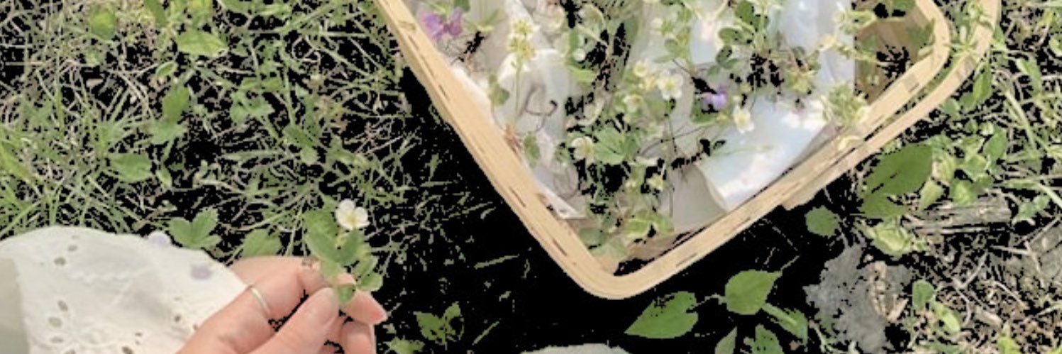 dollhete's profile banner image