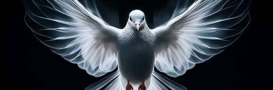 Gatjiek Kuach banner