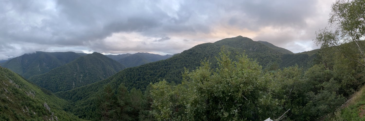 PaísAstur #Oficialidá 🇸🇪🦁🇪🇺 banner