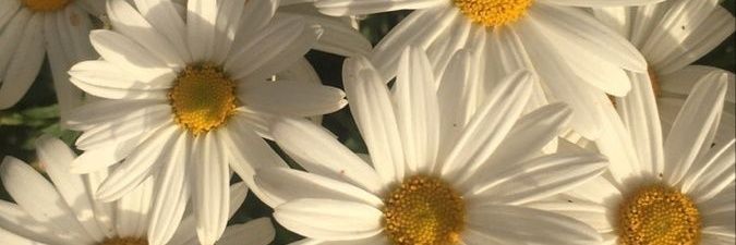 R_hus369's profile banner image