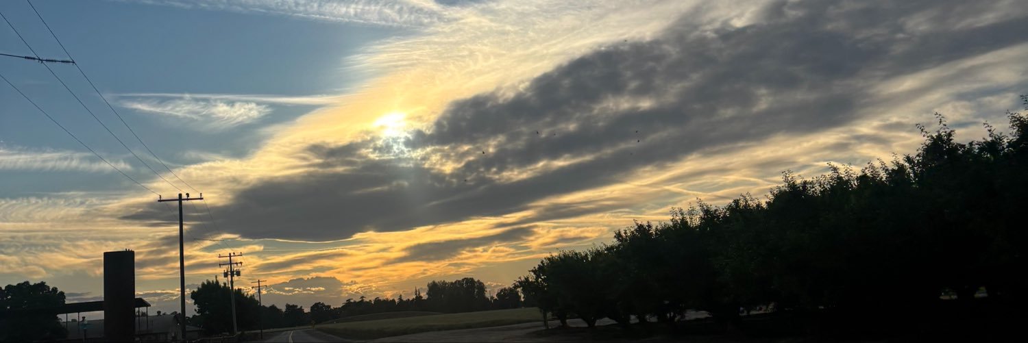 yslkenz's profile banner image