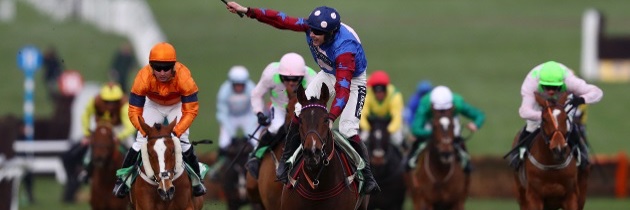 Cheltenham Fever banner