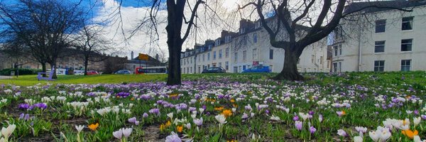 Suhua_Sim Profile Banner