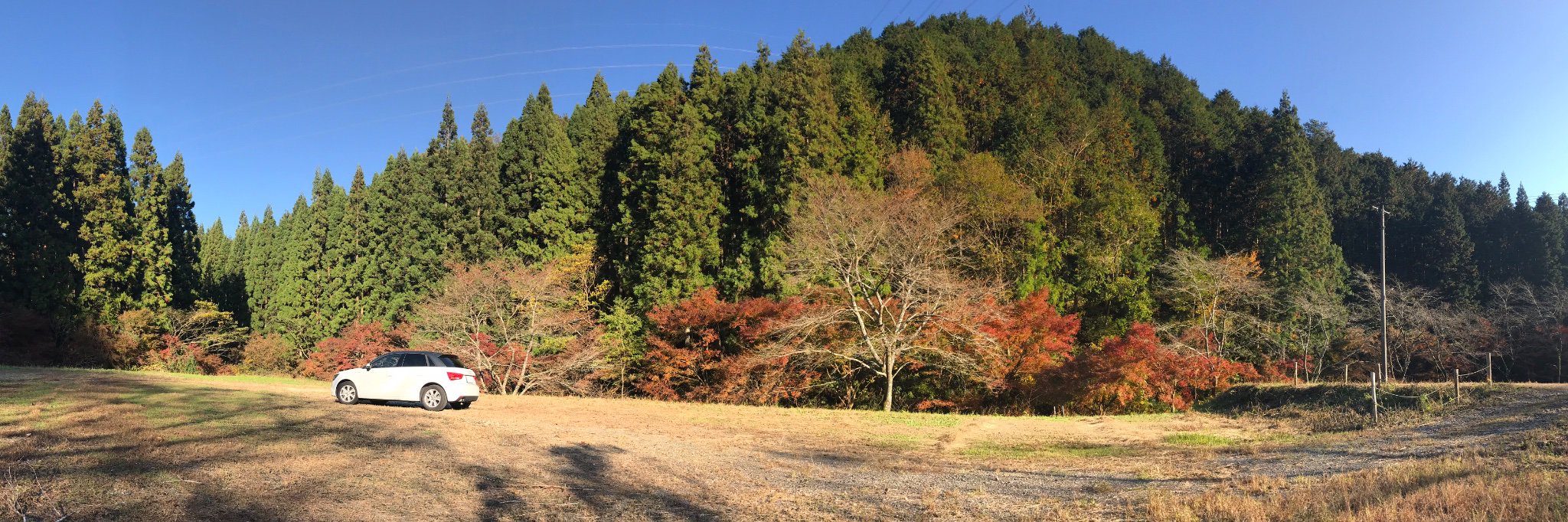 夏紀 banner