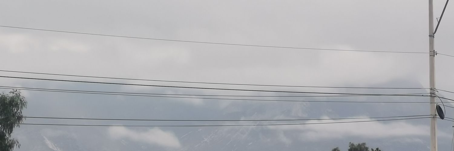 Fénix 🔥🔥 banner