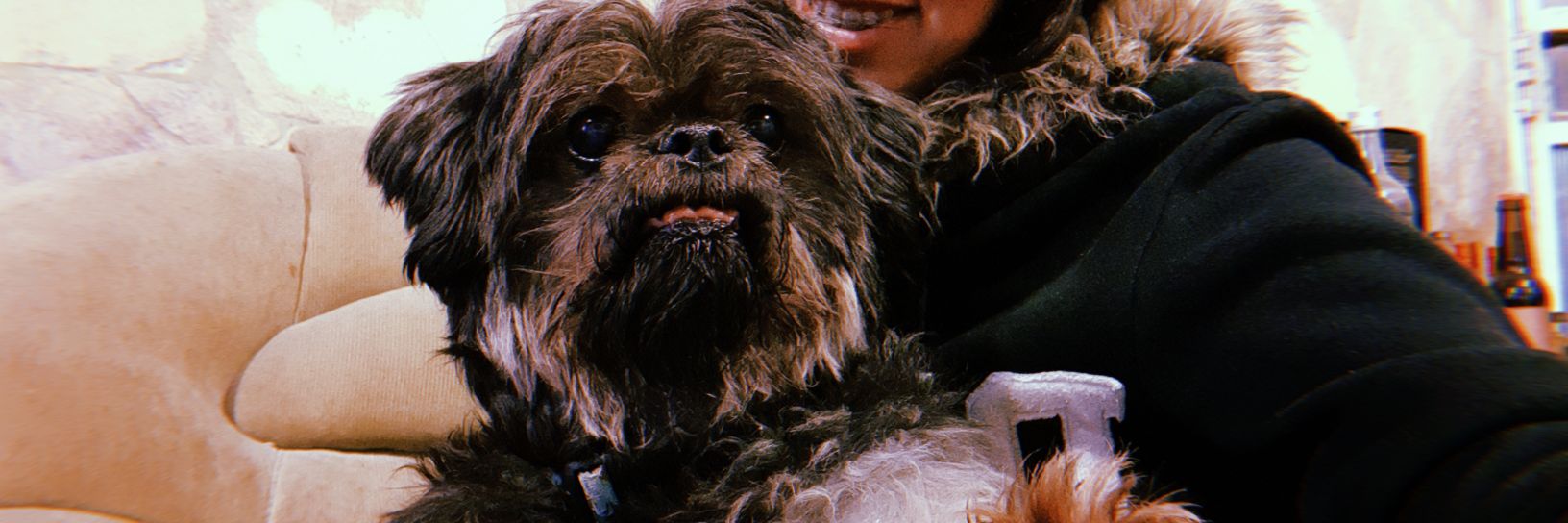 caritogarrafa's profile banner image