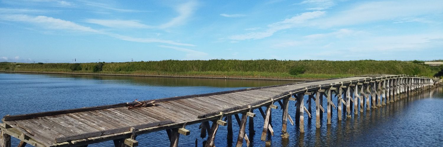 地下部🐡🌙 banner