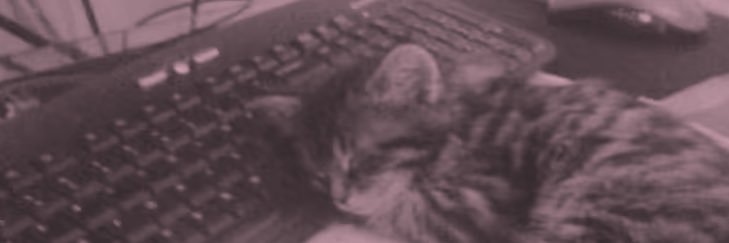 MaddsEatz's profile banner image