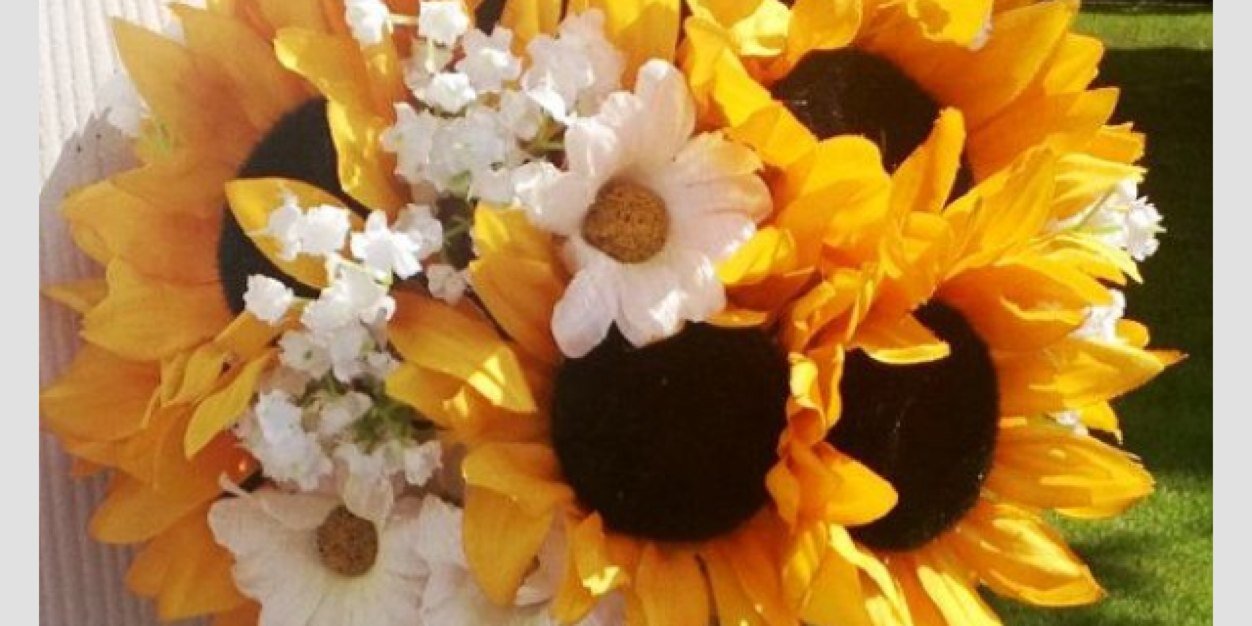 lindsschuster's profile banner image