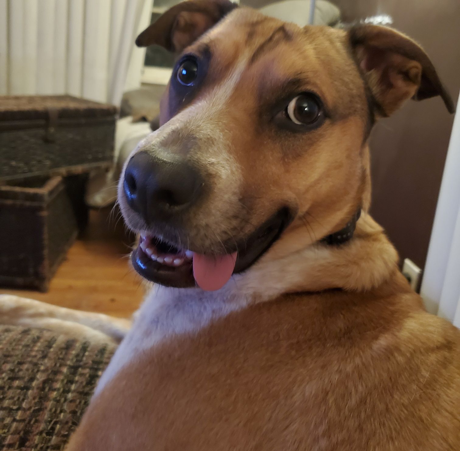 Accounting Dude (Not Alpha, yet) banner