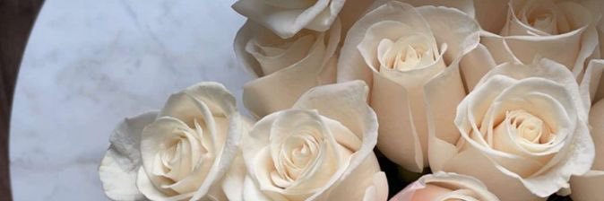 noursignature's profile banner image