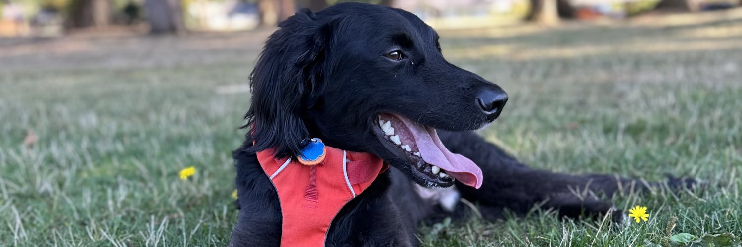 Benjamin Woodard banner