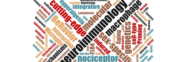 lab_nib Profile Banner