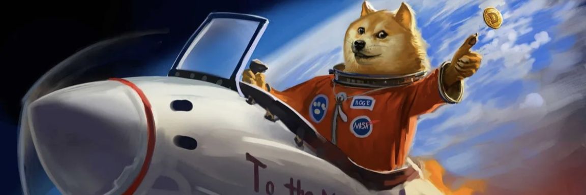 🃏DogecoinFool🃏 banner