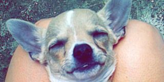 GutierrezBetsa's profile banner image