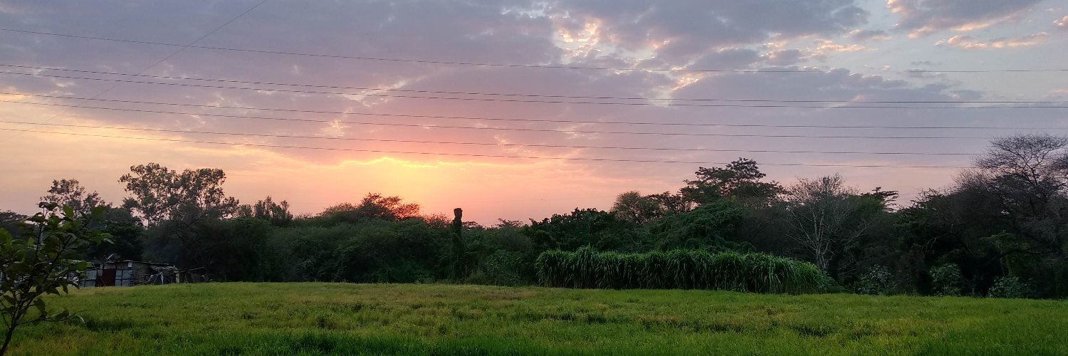 bawbaee's profile banner image