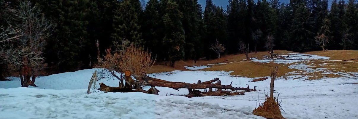 anik1192's profile banner image