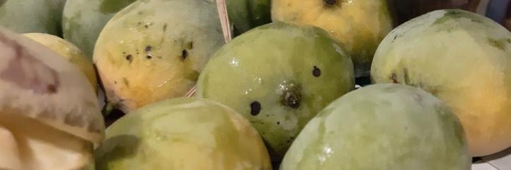 🔞 BlueVanilla @bsky banner