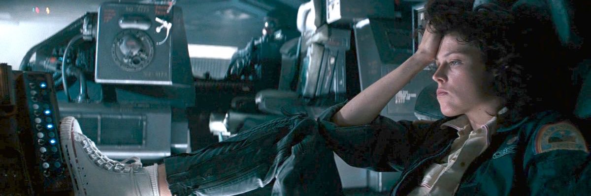 bernachelovebot's profile banner image