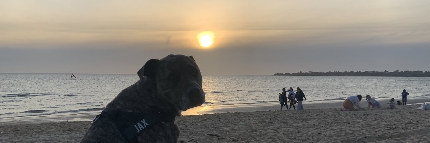 Victoria_Gee2's profile banner image