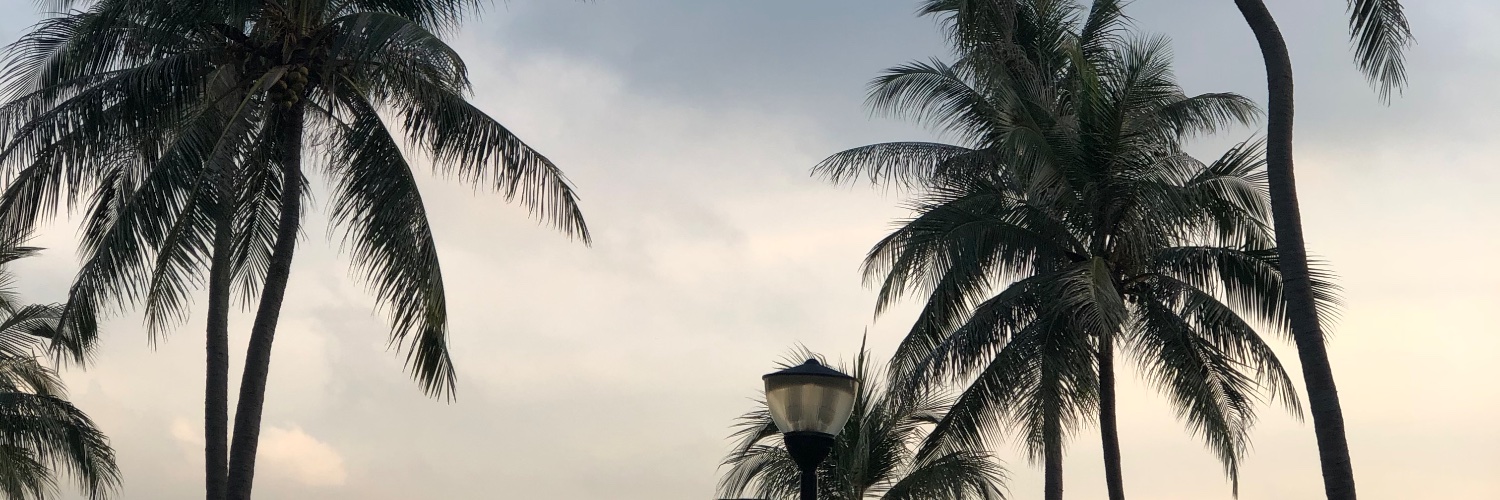 Zzz banner