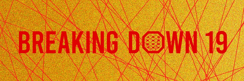 BreakingDown / ブレイキングダウン banner