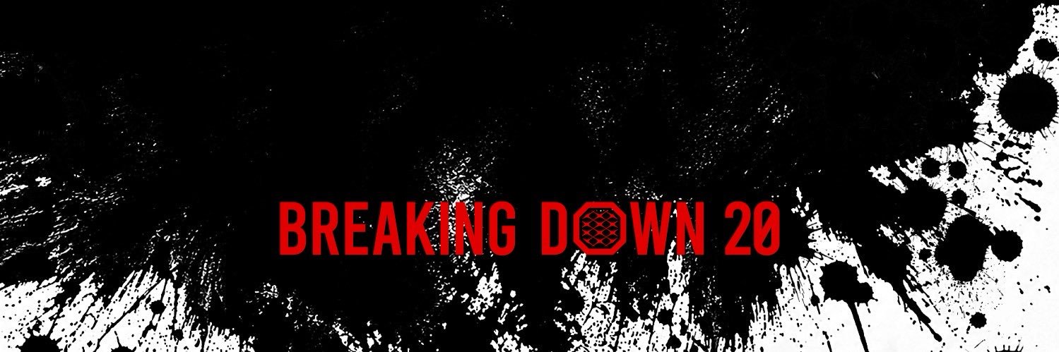BreakingDown / ブレイキングダウン banner