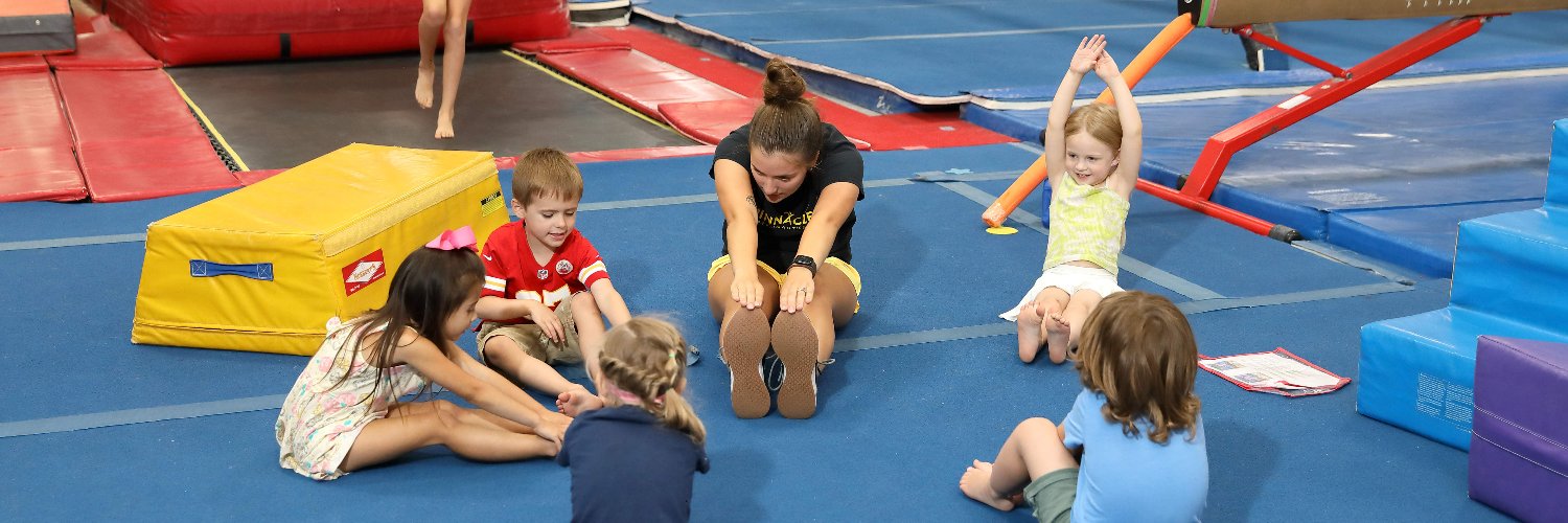 Pinnacle Gymnastics banner
