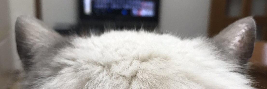 tomi_neko's profile banner image