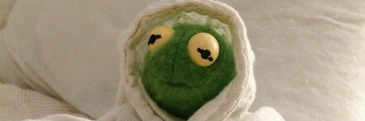 kermit the froggo bij 2.0 banner